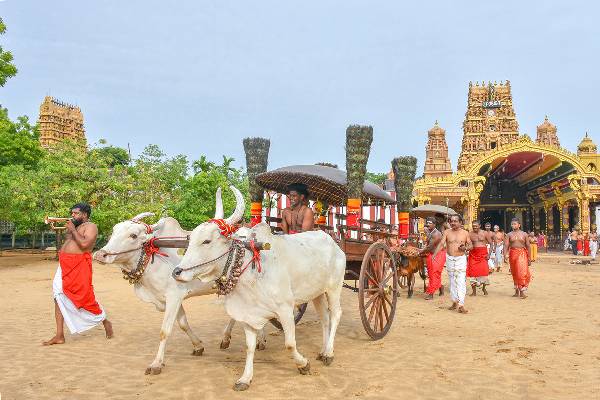 நல்லூரான் வருடாந்த மகோற்சவம் நாளை ஆரம்பம் - கொடிச்சீலை கையளிக்கும் பாரம்பரிய நிகழ்வு இன்று | Nallur Annual Festival Starts Tomorrow 22 08 2023