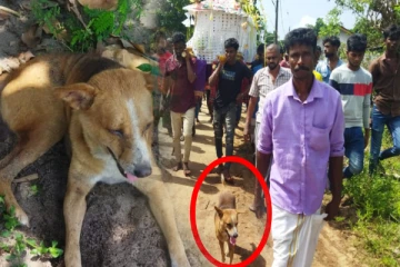 இலங்கையில் மனங்களை வென்ற நன்றியுணர்வு; நெகிழவைத்த சம்பவம்!(Photos)