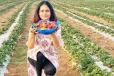 சட்டம் படித்து Strawberry விற்கும் இளம்பெண்! இந்திய பிரதமரே பாராட்டும் அளவுக்கு வருமானம்