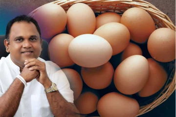 முட்டையின் அதிகபட்ச சில்லறை விலை நீக்கப்படுமா! வெளியாகியுள்ள தகவல்