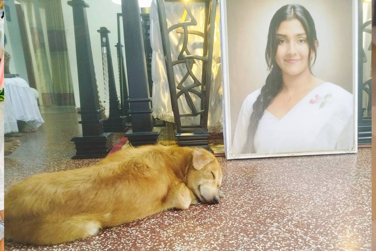 தென்னிலங்கையில் விமான பணிப்பெண்ணாக முயற்சித்த பெண் திடீர் மரணம் | Sudden Death Of A Young Woman