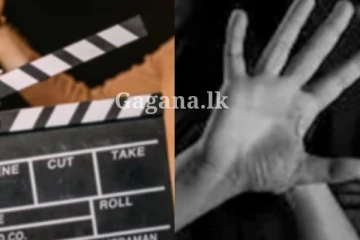 ජනප්රිය නිළියකට දන්න නළුවන් කිහිපයක් ලිංගික අතවර කරලා?. රස්සාව හැරදා ගෙදර ගිහින්.. ලැබුණ ආරංචිය මෙන්න..