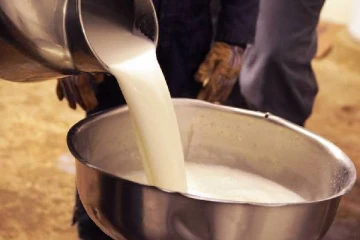 திரவப் பாலை பயன்படுத்துமாறு மக்களுக்கு கோரிக்கை விடுத்த இராஜாங்க அமைச்சர்