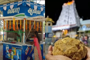 திருப்பதி லட்டு சர்ச்சை; களமிறங்கிய ஆவின் - அதிகாரிகள் சொன்ன குட்நியூஸ்!