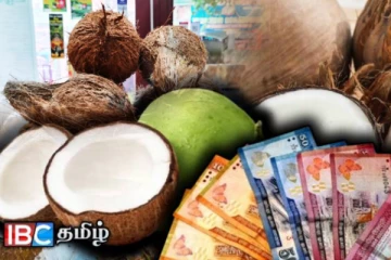 வாராந்த ஏலத்தில் தேங்காய் விலை குறித்து வெளியான தகவல்