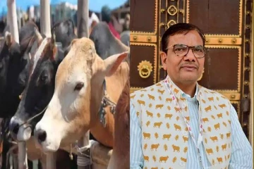 மாட்டுச்சாணத்தில் காகிதம் தயாரித்து கோடியில் சம்பாதிக்கும் இந்தியர்! அமெரிக்காவுக்கு ஏற்றுமதி