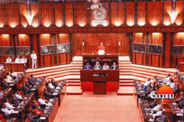 පළාත් සභා ඡන්දය වෙනුවෙන් පාර්ලිමේන්තු විශේෂ කාරක සභාවක් පත් කරයි