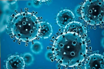 நாட்டில் பரவும் வைரஸ் தொற்று; பொது மக்களுக்கான எச்சரிக்கை