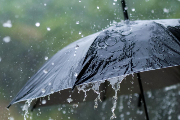 வடக்கு மற்றும் கிழக்கு மாகாணங்களில் நாளையும் கன மழை! | Rain In The Northern And Eastern Provinces வடக்கு மற்றும் கிழக்கு மாகாணங்களில் நாளையும் கன மழை! | Rain In The Northern And Eastern Provinces