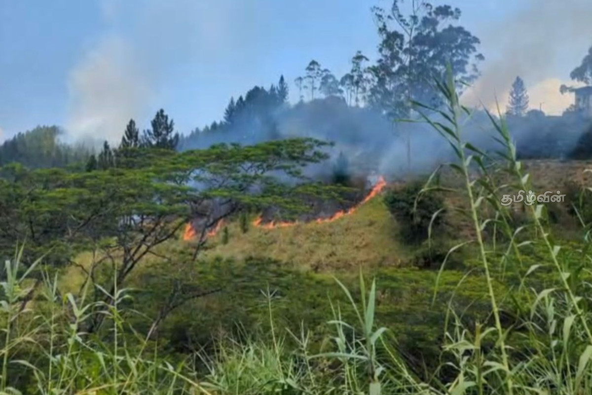 கினிகத்தேன பகுதியில் காட்டுக்கு தீ வைப்பு! | Forest Set On Fire In The Kinigathena Area