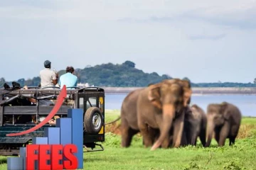 சுற்றுலா சேவைக்கான ஜீப் கட்டணம் அதிகரிப்பு