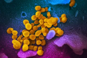 கருப்பு, வெள்ளை பூஞ்சைகளை தொடர்ந்து கண்டுபிடிக்கப்பட்டுள்ள மஞ்சள் பூஞ்சை!