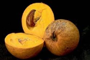 දිව ඔසුවක් බදු ලාවලු  මෙච්චර ගුණයි කියා ඔබ සිතුවාද..?