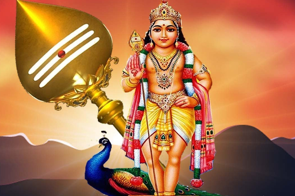 செவ்வாய் கிழமைகளில் வீட்டில் எளிய முறையில் முருக வழிபாடு செய்வது எப்படி? | Veetil Murugan Valipadu Today Astrology For Hindum