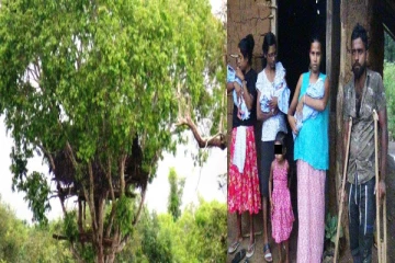 பச்சிளம் குழந்தைகளுடன் காட்டில் வாழும் குடும்பம் : அமைச்சர் விடுத்த உத்தரவு