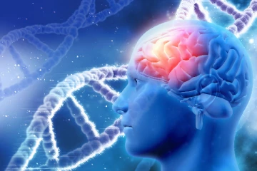 உலக அளவில் நரம்பு மண்டலத்தை பாதிக்கும் நோய்கள் அதிகரிப்பு