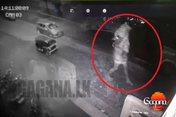 හැටන් වල රෑට රෑට ගෙට රිංගන මිනිස් අවතාර