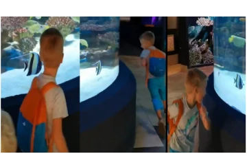 சிறுவனிடம் விளையாடிய மீன்... - நெட்டிசன்களை ஆச்சரியப்படுத்திய வீடியோ...!