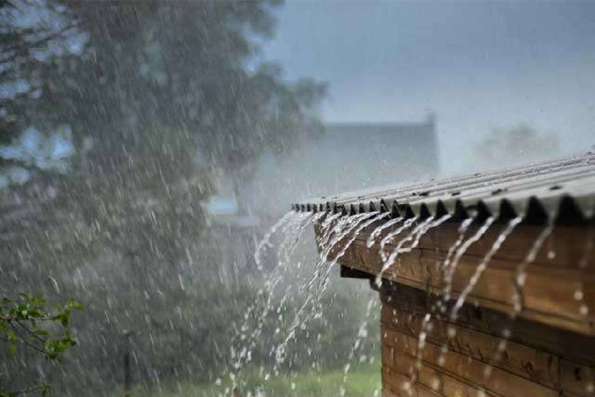 பல மாவட்டங்களுக்கு வளிமண்டலவியல் திணைக்களம் விடுத்துள்ள எச்சரிக்கை | Severe Lightning Warning Issued For 11 Districts