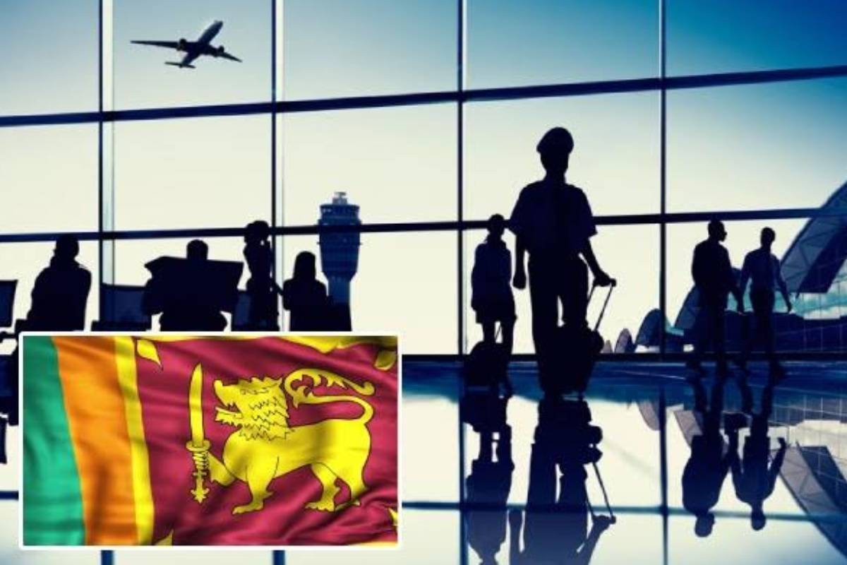 இலங்கையர்களுக்கு இஸ்ரேலில் புதிய வேலைவாய்ப்பு | Israel Employme Website New Opportunity Sri Lankan இலங்கையர்களுக்கு இஸ்ரேலில் புதிய வேலைவாய்ப்பு | Israel Employme Website New Opportunity Sri Lankan