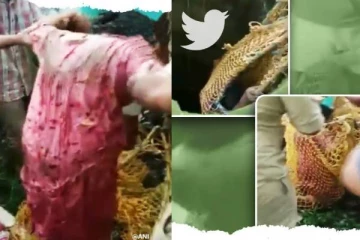 50 அடி ஆழ கிணற்றுக்குள் விழுந்த பெண்ணை வலை வீசி தூக்கிய தீயணைப்பு வீரர்கள்! வைரலாகும் திக் திக் வீடியோ