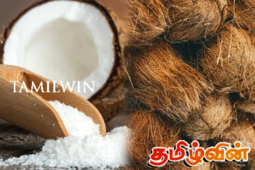 தேங்காய் பற்றாக்குறையை சமாளிக்க அரசாங்கம் எடுத்துள்ள முடிவு