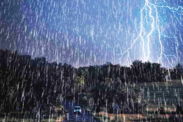 நாவலப்பிட்டியில் மின்னல் தாக்கி ஐந்து மாடுகள் பலி