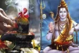 2026: மகா சிவராத்திரி அன்று தவறியும் செய்யக்கூடாத 8 விஷயங்கள்