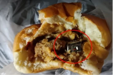 කෑම කද්දි පරිස්සමෙන්.. මාළු පාන් ගෙඩියකින් මතුවෙලා තියෙන දේ..