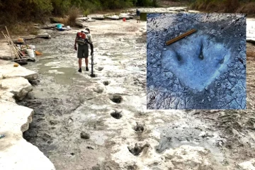 வறட்சியால் வெளிவந்த 11 கோடி ஆண்டுகள் பழமையான டைனோசர் தடங்கள்