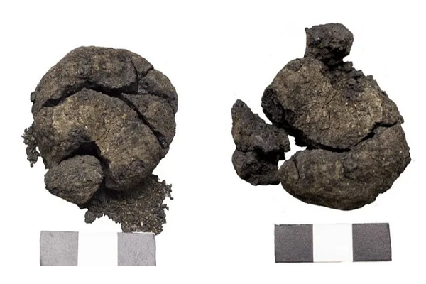 Bread, 8600 year old bread, world