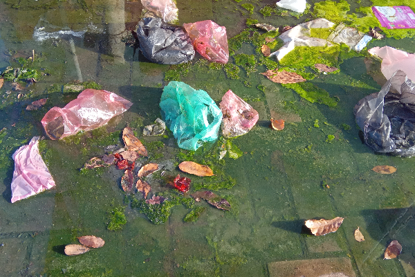 நாற்றமடிக்கும் கிளிநொச்சி நகர்; நடவடிக்கை எடுக்கப்படுமா? | Stinky Kilinochchi Nagar Will Action Be Taken