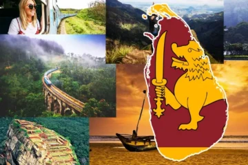 இலங்கைக்கு வந்து குவியும் சுற்றுலா பயணிகள் - வெளியான தகவல்
