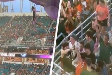 பூனையைக் காப்பாற்றிய அமெரிக்க கொடி...வைரலான காணொளி