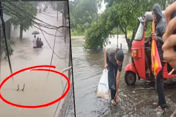 இலங்கையை வதைக்கும் கனமழை ; வெள்ள நீருக்குள் காத்திருக்கும் பெரும் ஆபத்து, அவதானம் மக்களே!