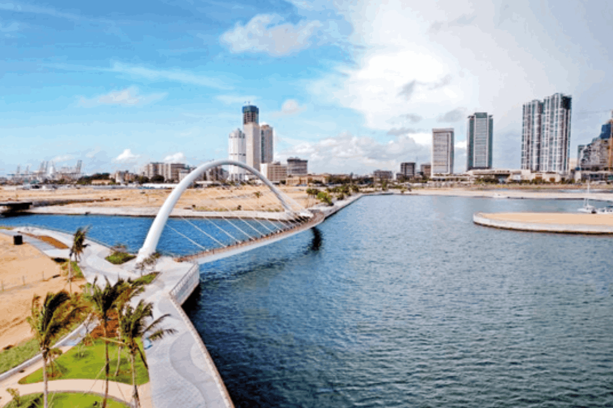 போர்ட் சிட்டி விசா வழங்கல் தொடர்பில் எழுந்துள்ள சர்ச்சை | Controversy Surrounding Port City Visa Issuance