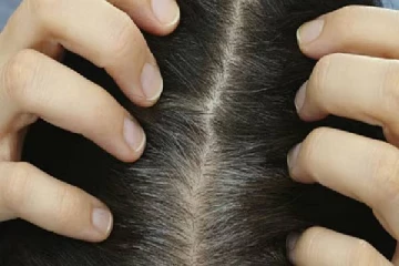 இளநரை இருக்கா? இந்த ஒரே இலை போதும் - டை-க்கு குட்பை சொல்லுங்க