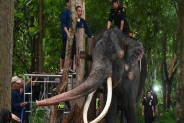 முத்துராஜா மீண்டும் இலங்கைக்கு திரும்புவதில் சிக்கல் (PHOTOS)