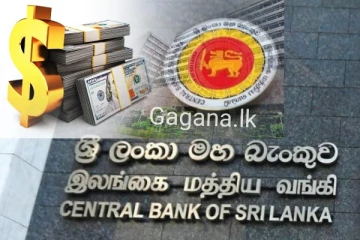 ඩොලරය සහ මුදල් වර්ග කිහිපයකට සාපේක්ෂව රුපියල ඉහළ නගී..