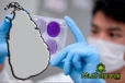 நாட்டில் கொரோனா தொற்றாளர்களை அடையாளம் காணுவதில் ஏற்பட்டுள்ள சிக்கல்