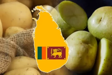 நச்சுத்தன்மை மிக்க பச்சை உருளைக்கிழங்கு: மக்களுக்கு விடுக்கப்பட்டுள்ள எச்சரிக்கை