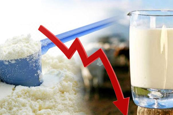 பால்மாவின் விலையில் மாற்றம் | Milk Powder Today Price In Sri Lanka