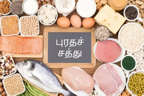 முட்டை மற்றும் பனீர்... புரதச்சத்து எதில் அதிகம் உள்ளது தெரியுமா? | Which Has High Protein Egg Or Paneer முட்டை மற்றும் பனீர்... புரதச்சத்து எதில் அதிகம் உள்ளது தெரியுமா? | Which Has High Protein Egg Or Paneer