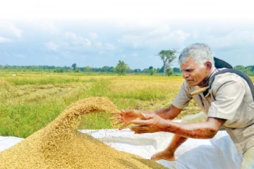 වී කිලෝවක නිෂ්පාදන පිරිවැය ප්‍රකාශයට - නව මිල මෙන්න