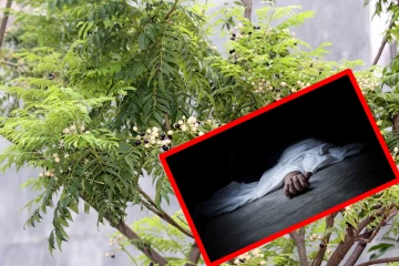 யாழ்ப்பாணத்தில் கறிவேப்பிலை பறிக்க சென்றவர் மரணம்