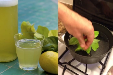 இந்த இலையை கொதிக்க வைத்து குடிச்சு பாருங்க!! உடலுக்கு பல அற்புத நன்மைகள் தருமாம்