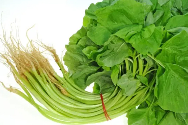 சைவ பிரியர்கள் புரத உணவுகளாக இதனை எடுத்து கொள்ளலாம் | Vegetarians Can Take It As A Protein Food