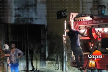 අධිකරණ භූමියේත් ගින්නක් - නිවන්න පොලිසියත් එයි