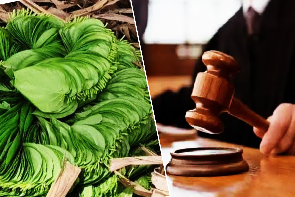 யாழில் ஆலய சூழலில் வெற்றிலை மென்ற ஐவருக்கு நேர்ந்த கதி | People Who Chewed Betel Leaves In Temple Premises