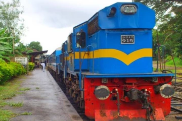 இன்றைய தினம் பல ரயில் சேவைகள் ரத்து: வெளியான முக்கிய அறிவித்தல்!